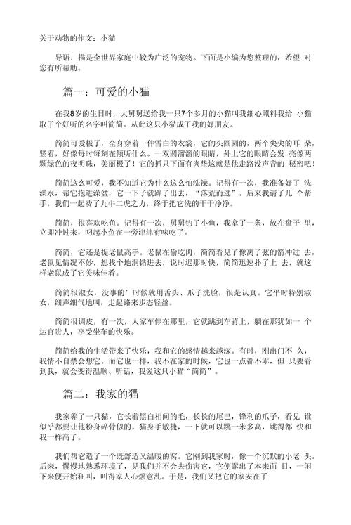 初中猫作文600字以上