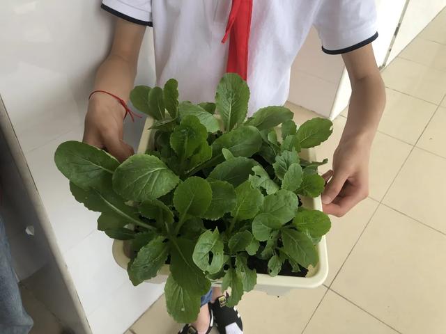 昆山市张浦镇周巷小学