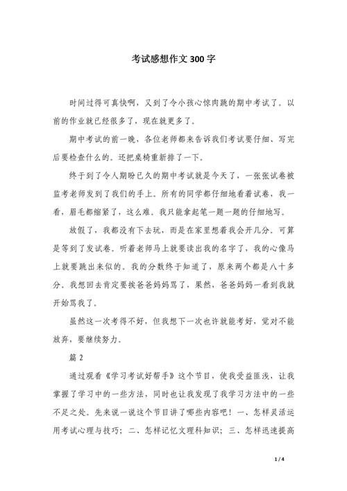 感想写300字作文初中