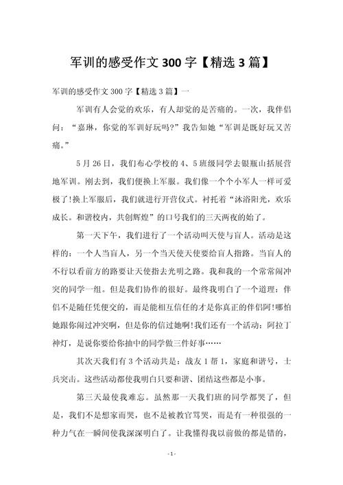 感想写300字作文初中