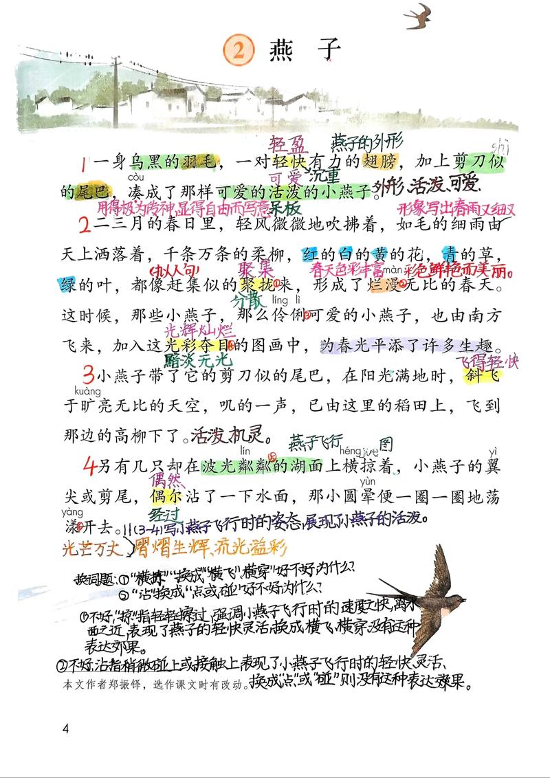 燕子的介绍300字初中