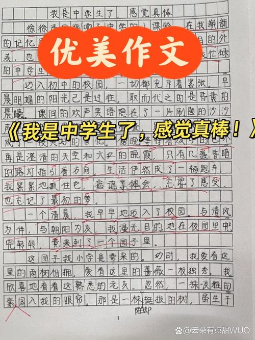 升入初中了感觉真棒作文