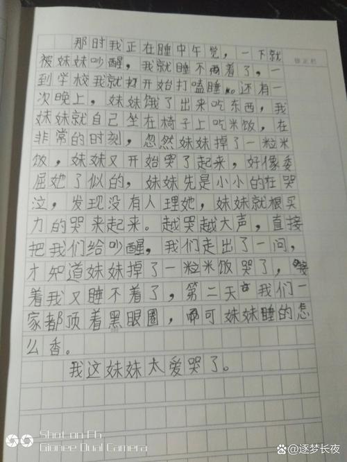 我的妹妹作文700初中