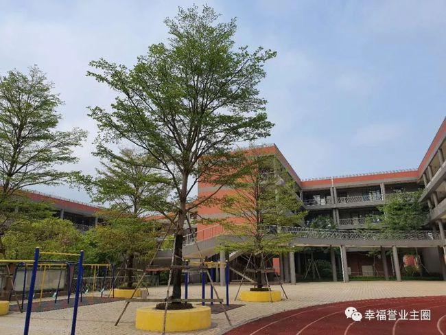 广州市番禺区天誉小学