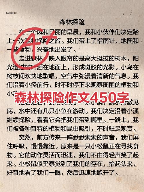 初中关于探险故事的作文