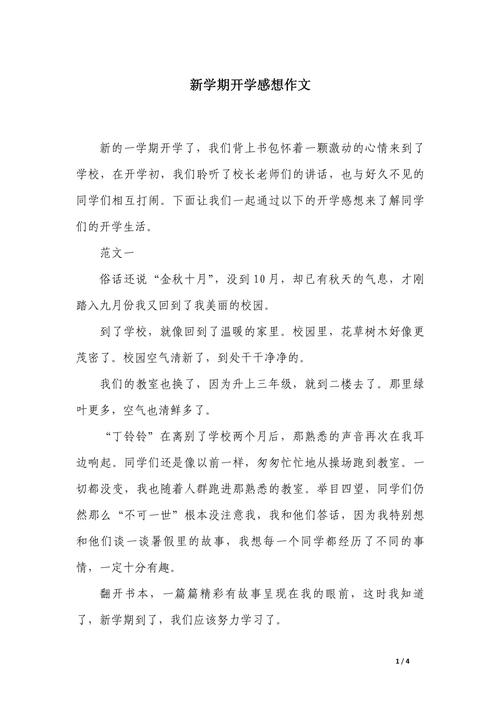 开学的感受初中500字