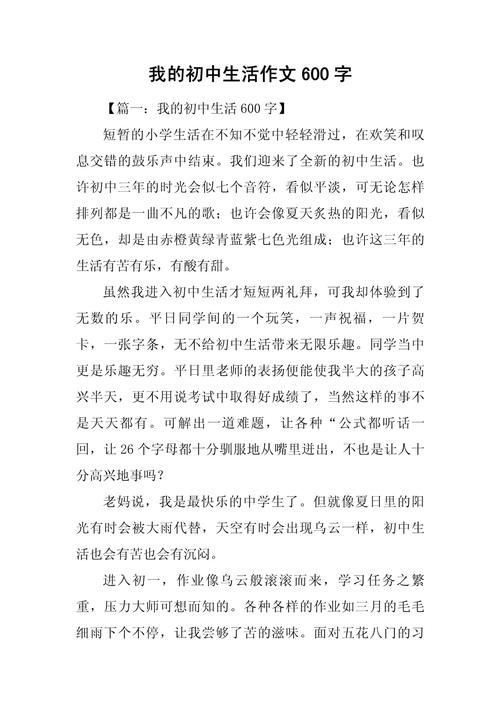 忙碌的我600初中作文
