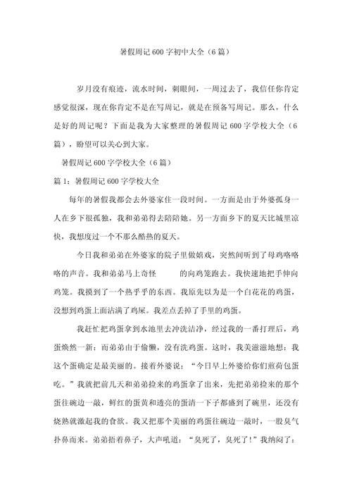 暑假趣事作600字初中