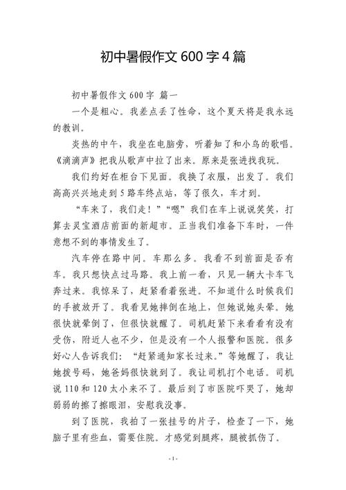 暑假趣事作600字初中