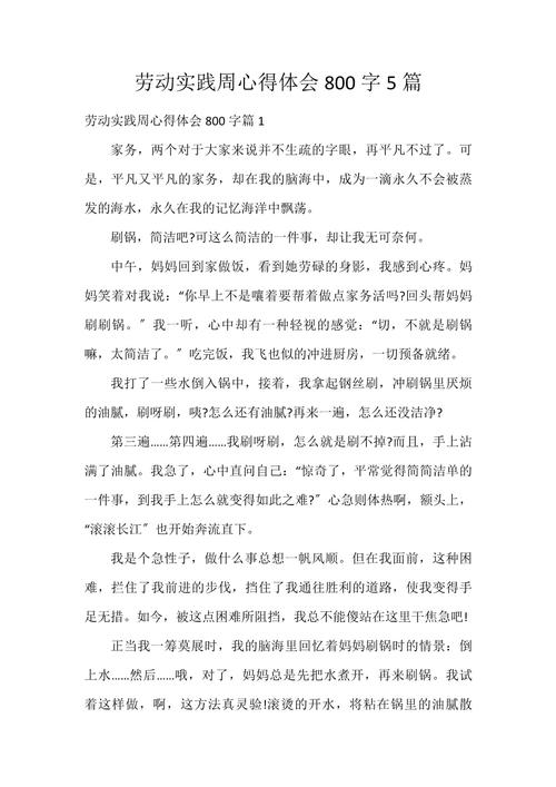 初中社会实践作文700