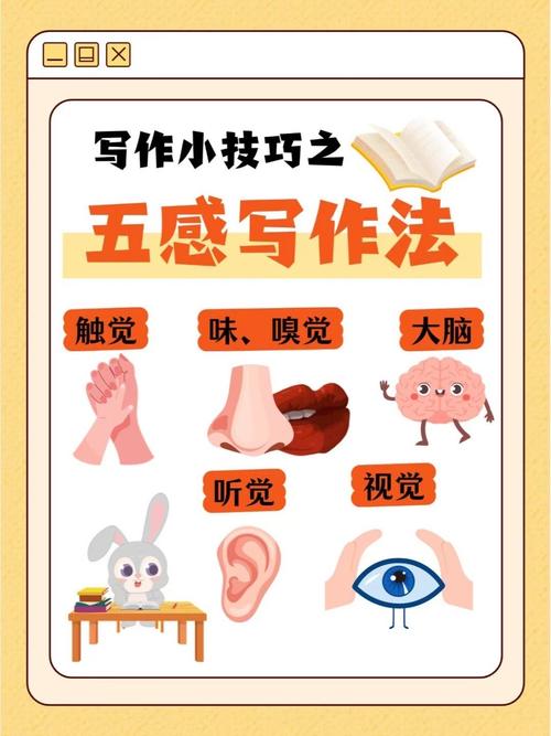 如何培养小学生的数感