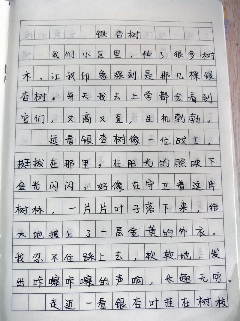 银杏铺满了地面作文初中