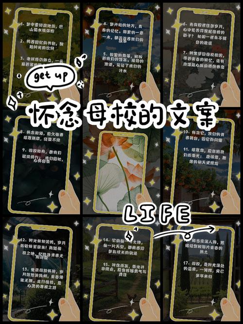 初中毕业对母校的回忆_