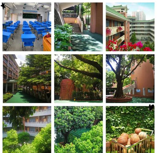 广州中山大学附属小学