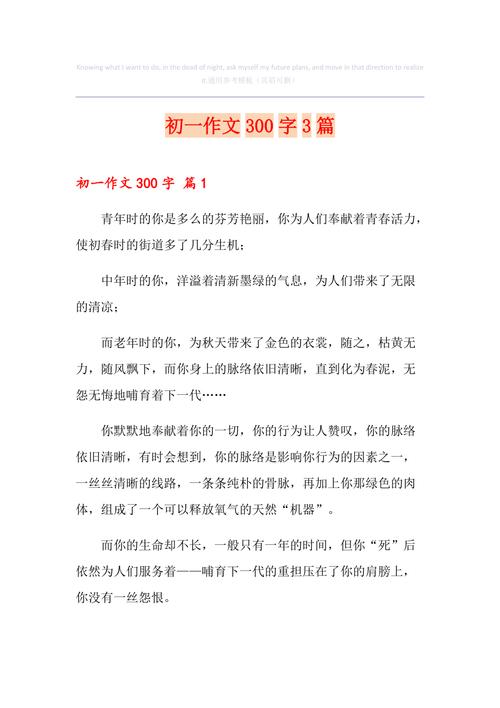 抢南海300字初中作文