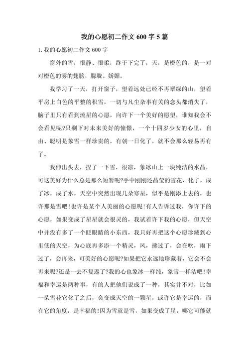 作文600字初中我希望