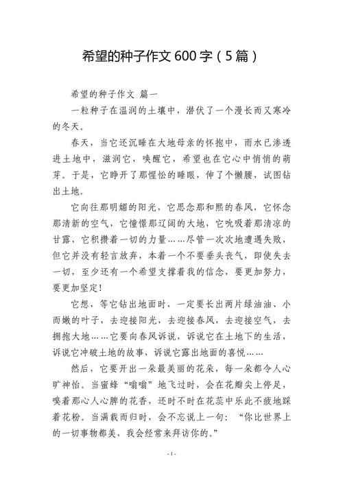 作文600字初中我希望