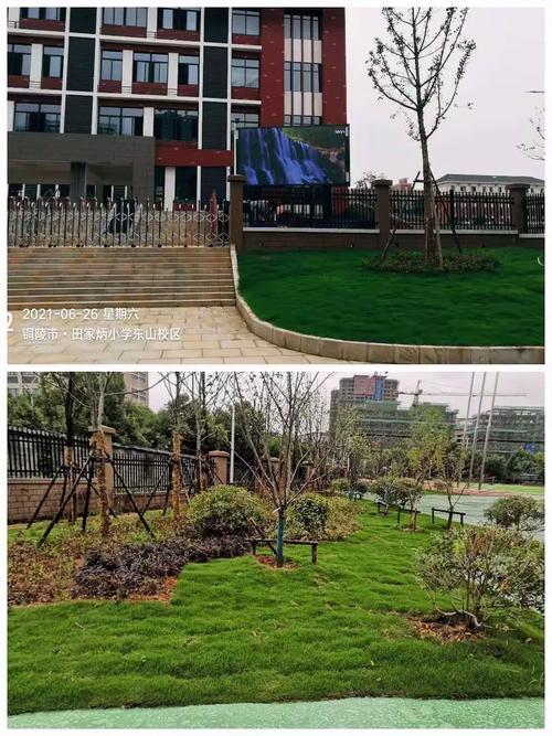 铜陵田家炳小学怎么样