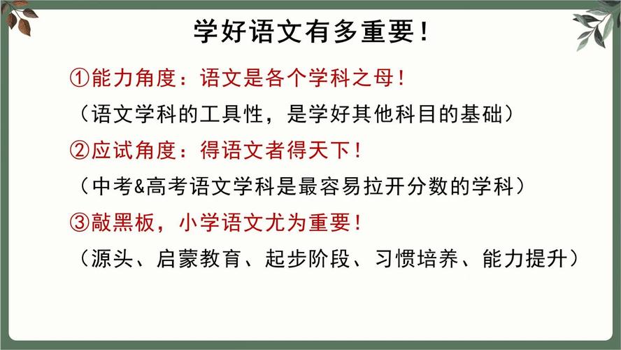 小学语文教育的重要性
