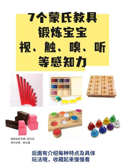 宝宝早教都教什么区别