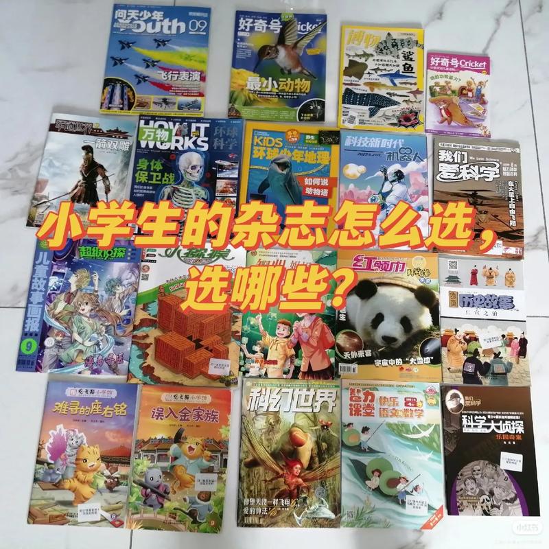 小学生杂志订阅排行榜
