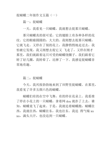 捉蝴蝶初中作文600字