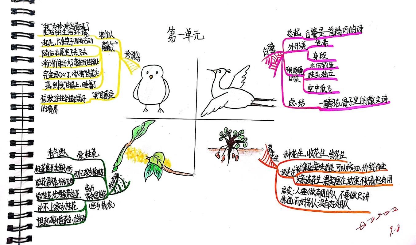 小学语文课文思维导图