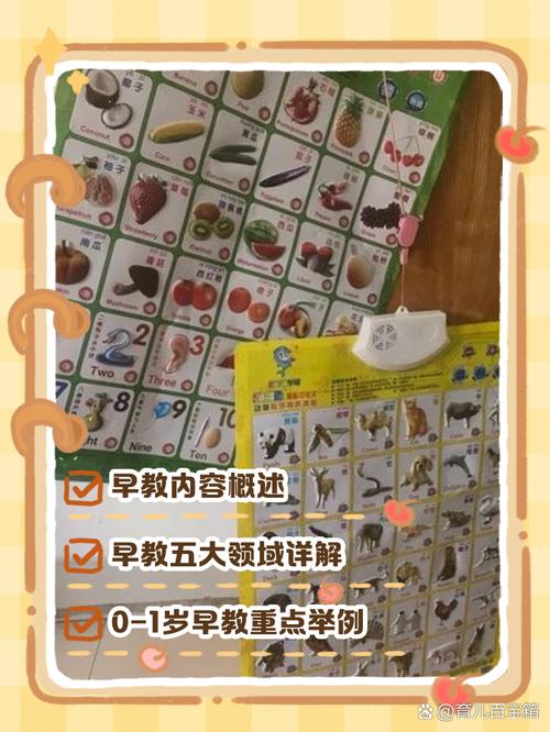 婴儿早教都教什么区别