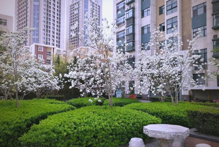 天津闽侯路小学学区房