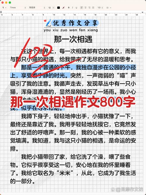 初中作文那天我与 相遇
