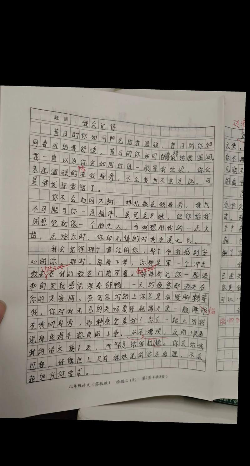 今天出成绩了 初中作文