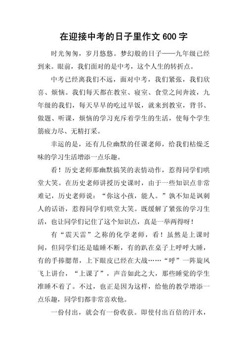 迎接初中的作文600字