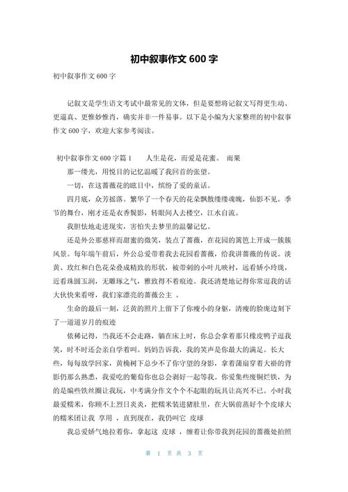 初中记事的作文600字