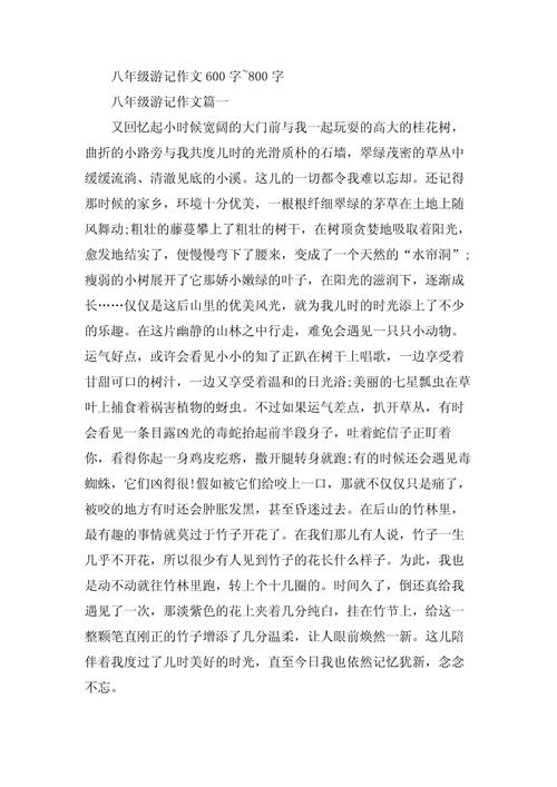 游贵州作文800字初中