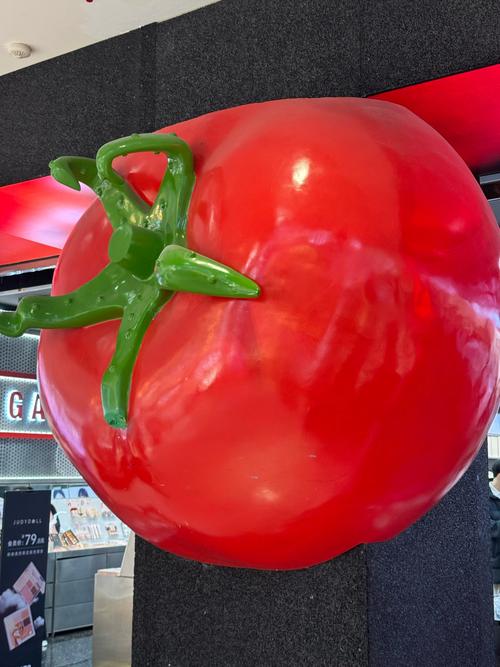 萧山 早教 番茄红了