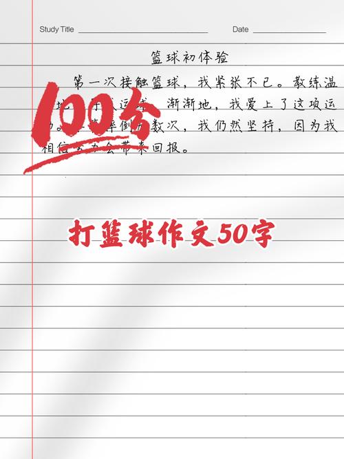 篮球我的最爱 初中作文