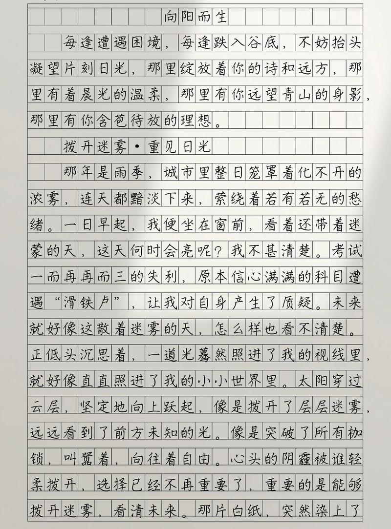 我心向阳初中作文700