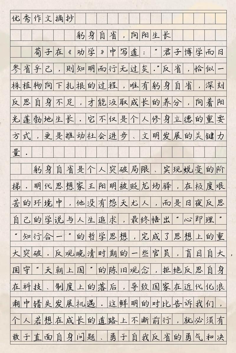我心向阳初中作文700