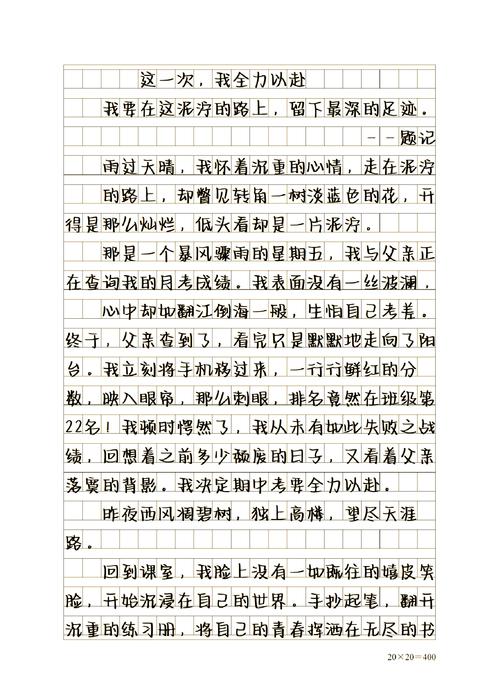 初中作文再次见面六百字