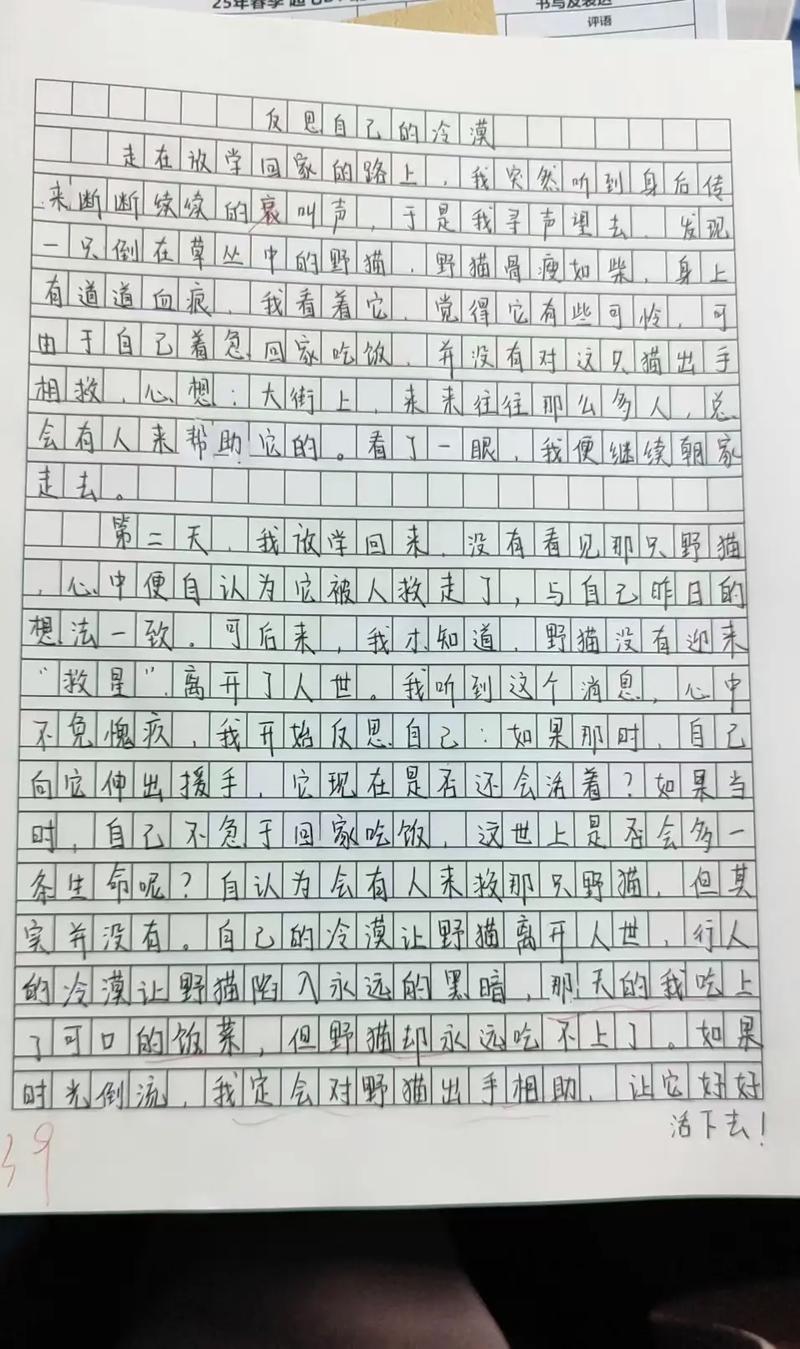 论冷漠初中作文500字