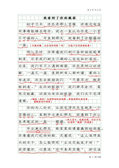 论冷漠初中作文500字