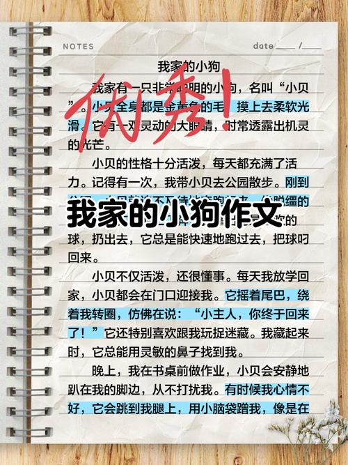 我家的小狗初中优秀作文