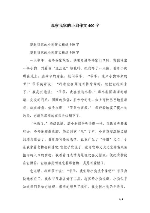 我家的小狗初中优秀作文
