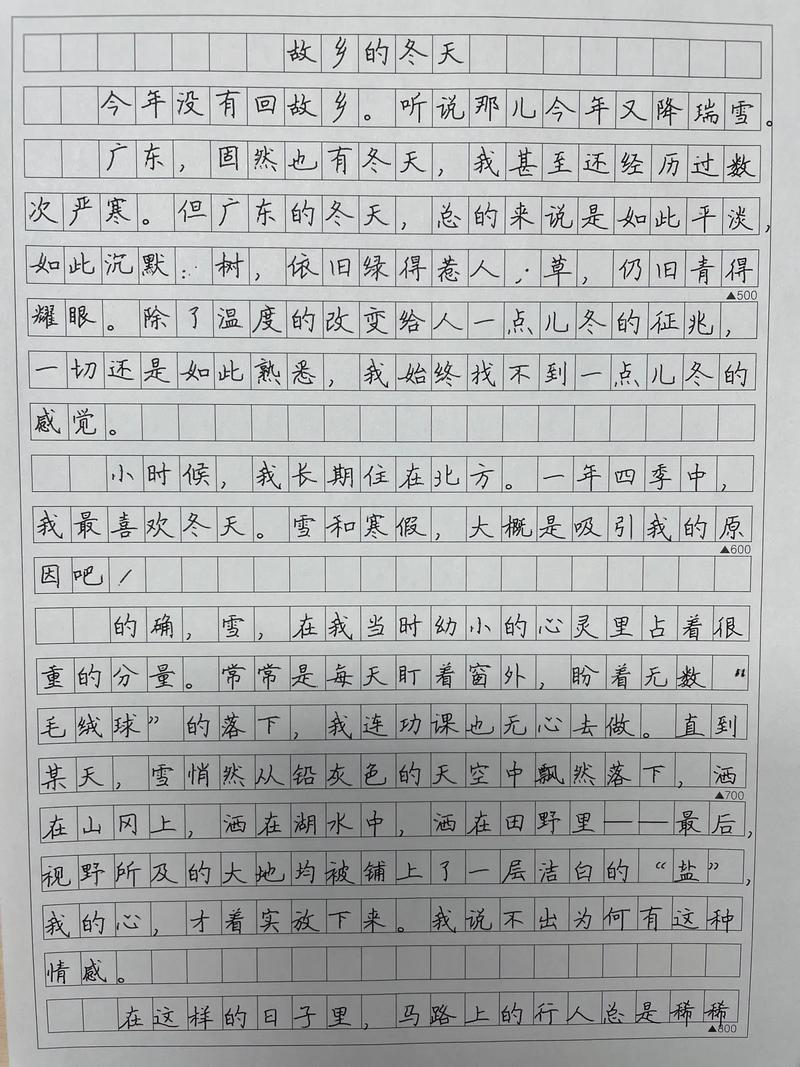 家乡的冬天700字初中