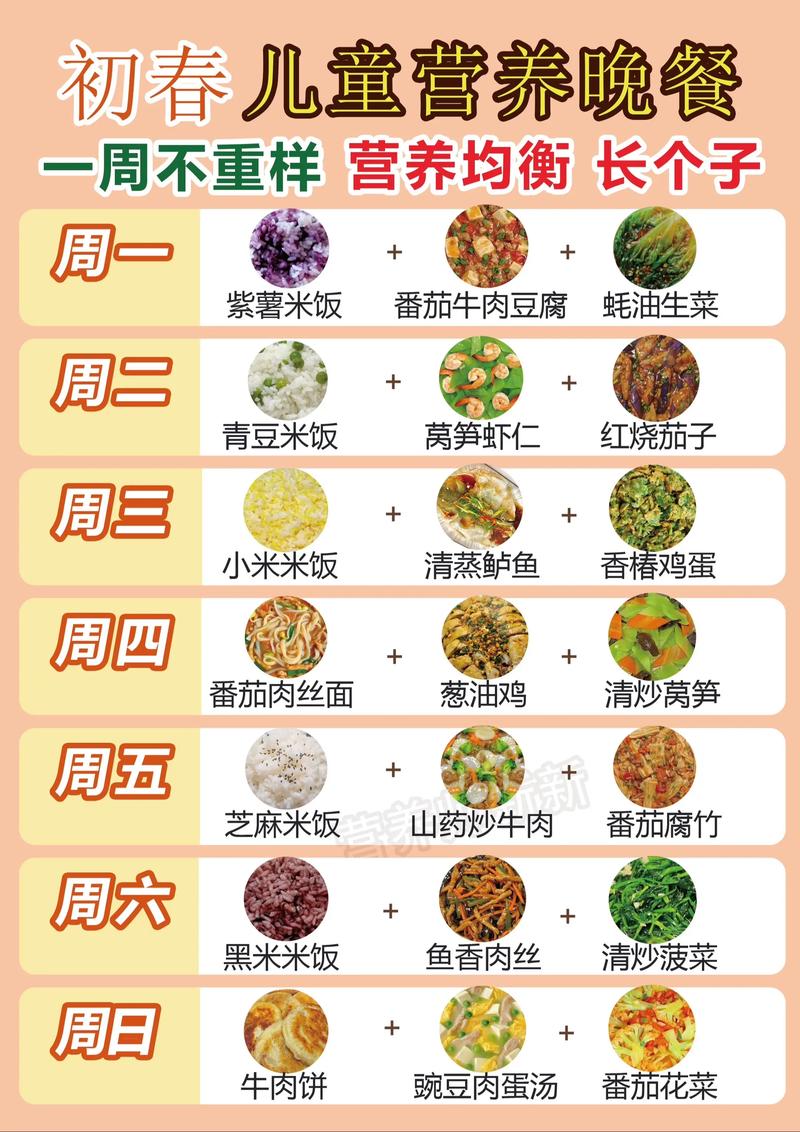 小学生的午餐食谱大全
