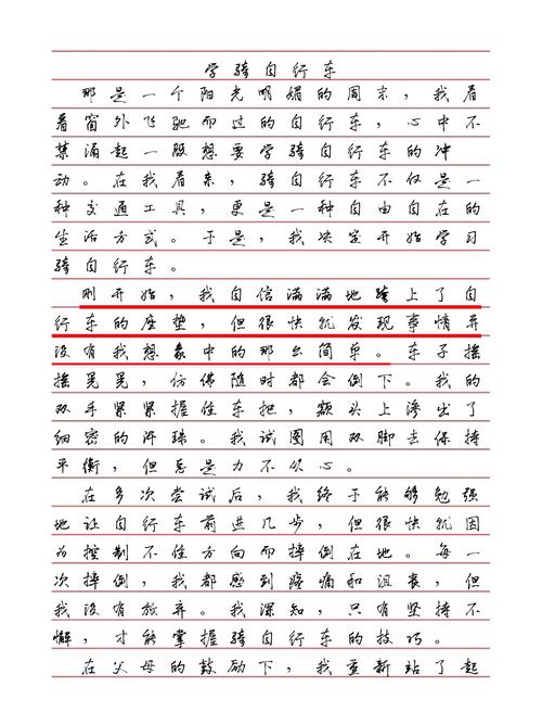 学骑车初中作文600字