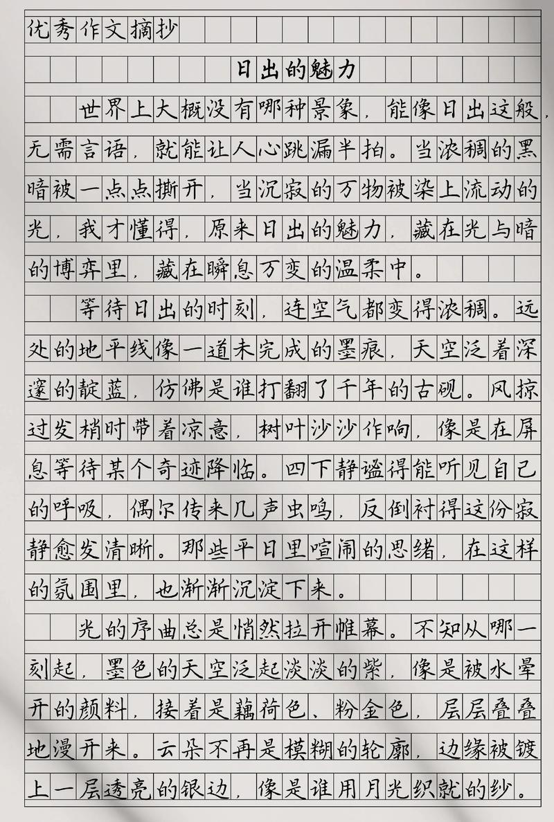 看日出日记500字初中