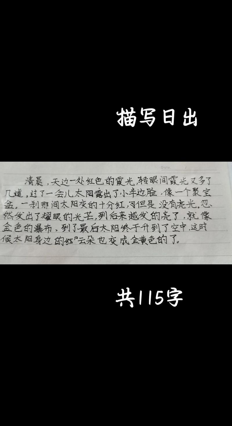 看日出日记500字初中