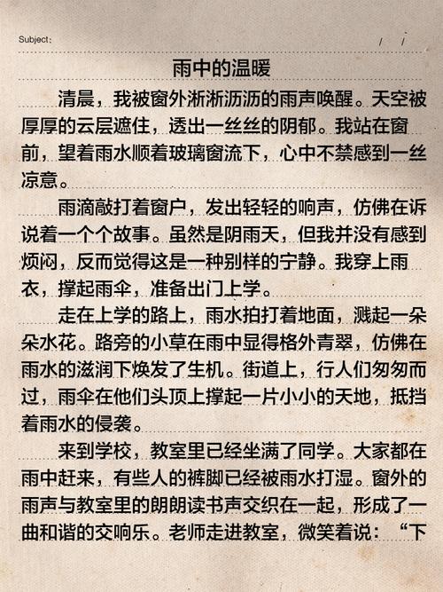 雨中的声音作文初中作文