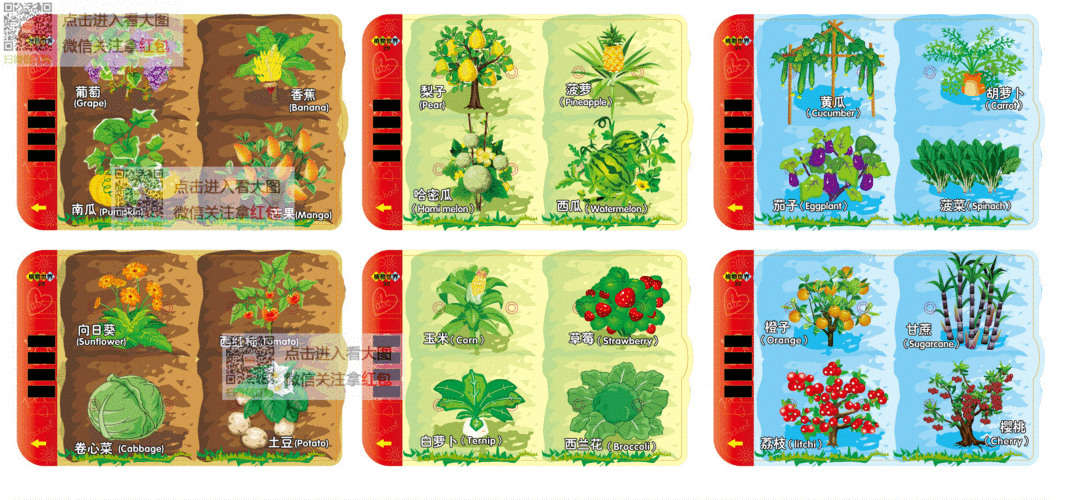 哈尔滨 早教价格多少